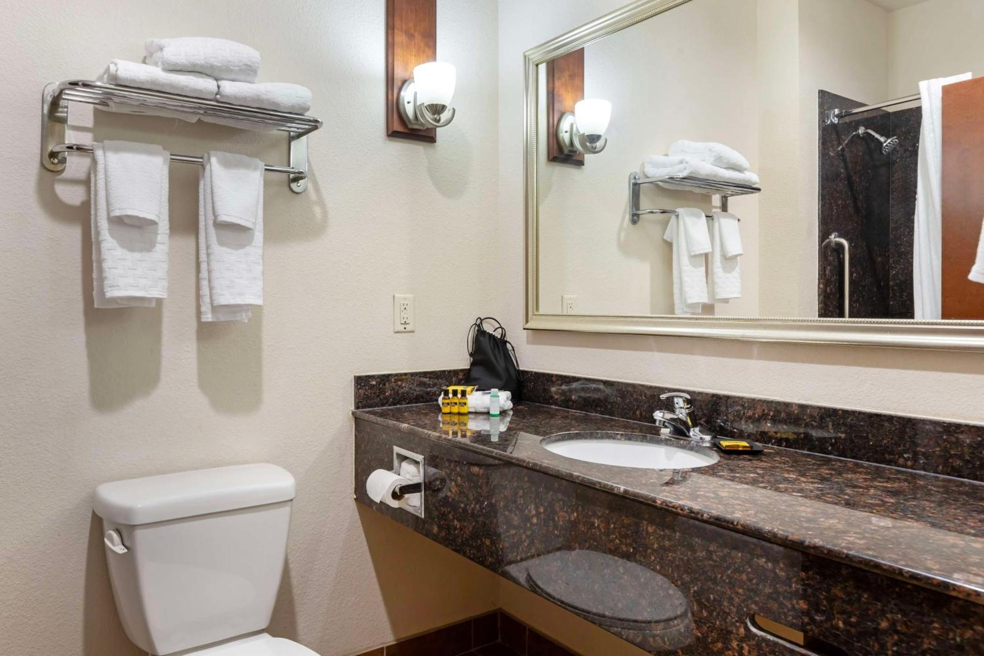 Best Western Plus Greenville South Piedmont Экстерьер фото